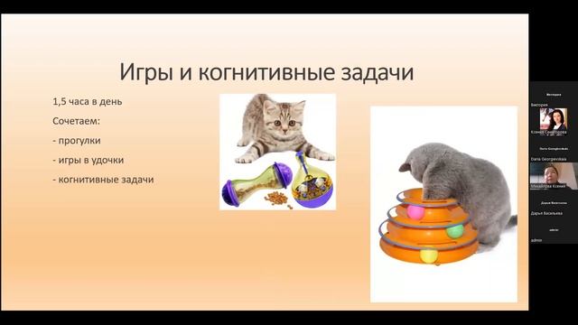 «Про ночной тыгыдык» вебинар по поведенческой терапии кошек смотреть онлайн