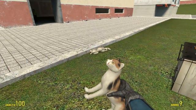 Обзор аддонов Gmod - Asdfmovie (#8)