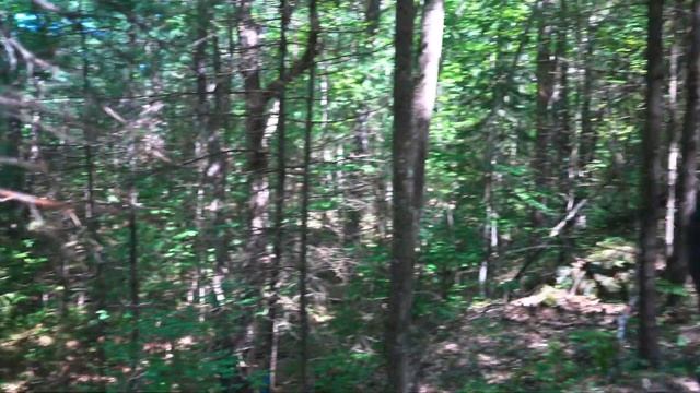 Off the Grid: Our Escape to a Wild and Bear-Infested Forest смотреть онлайн