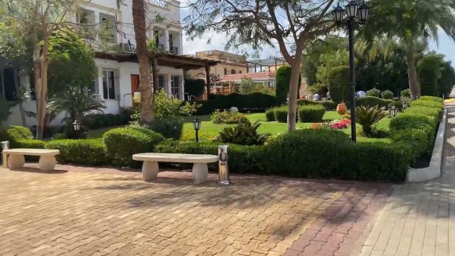 🇪🇬САМАЯ ПОПУЛЯРНАЯ ТРОЙКА В НААМА БЕЙ / FALCON NAAMA STAR SHARM EL SHEIKH /