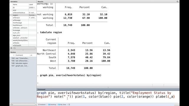 Stata Graphics 7: Two categorical variables with graph pie and graph bar (English version) смотреть онлайн