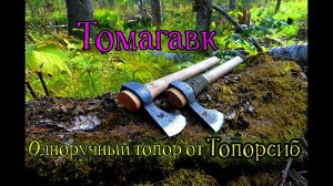 Новый Томагавк «Ласка»