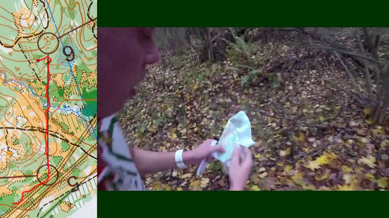 Спортивное ориентирование (Orienteering). Красный Лист 2019 классика (видео в новой редакции!) смотреть онлайн