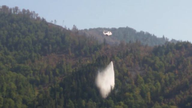 ГРУЗИЯ.БОРЖОМИ.ТУШЕНИЕ ОЧАГОВ ПОЖАРА. 25/08/2017 смотреть онлайн