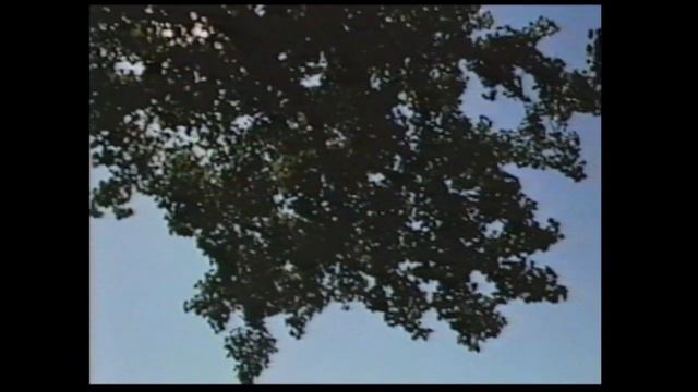 A Closer Look: President LBJ Movie 12/12 смотреть онлайн