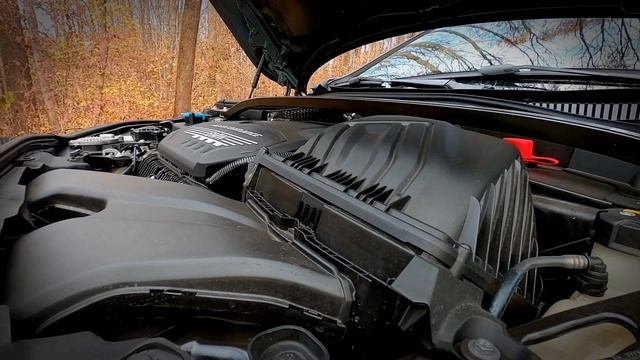 BMW M135i F40 2019 - Accelerations, Engine & Exhaust Sound