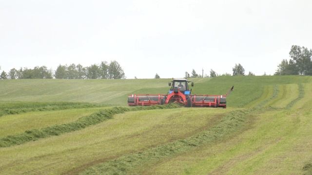 Областной семинар на базе Мозырского района смотреть онлайн