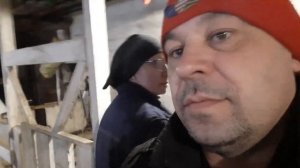 Сколько козы в день дают молока. Уборка.