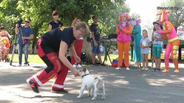 Собачий танок. Людмила Вілюкова і джек-рассел-тер`єр Чарлі смотреть онлайн