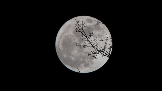 mysterious theater смотреть онлайн