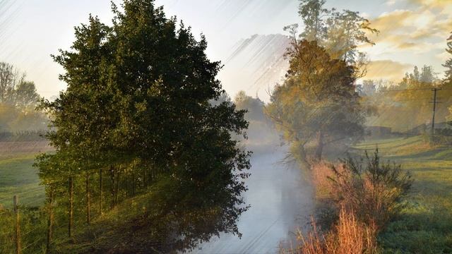 Эдвард Григ - Утро - Пер Гюнт смотреть онлайн