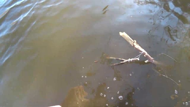 Поставил Самодельные Жерлицы На 24 ЧАСА и Поймал ЩУКУ МОНСТРА!! смотреть онлайн