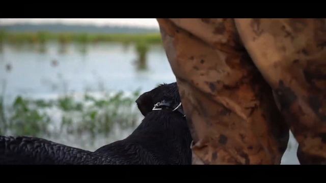 INSANE teal hunt - Treasure Island Outfitters - North Wind Waterfowl смотреть онлайн