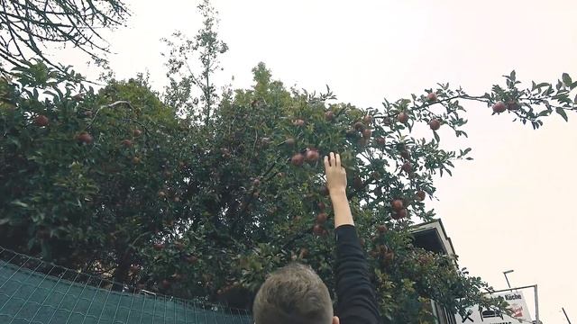 Евротрип 3 смотреть онлайн