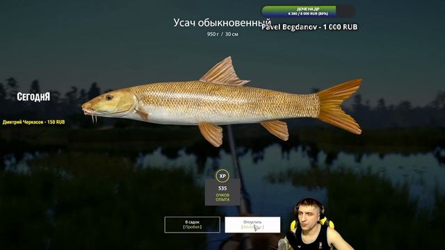 ?РУССКАЯ РЫБАЛКА 4 (RUSSIAN FISHING 4)? - ТРОФЕЙНЫЙ ЛИНЬ ЗОЛОТИСТЫЙ. ОЗЕРО МЕДВЕЖЬЕ. СТРИМ. смотреть онлайн