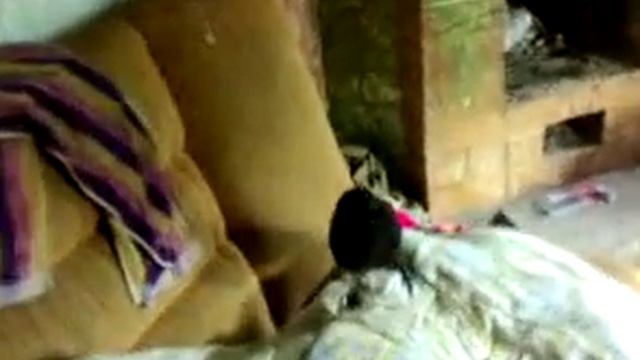 ворона живёт с нами, смотреть онлайн