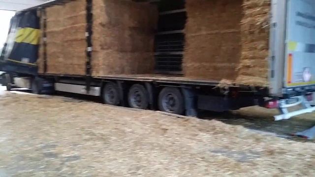 Нидерланды.привёз сено из Англии,выгрузка, Рейс Англия-Нидерланды смотреть онлайн