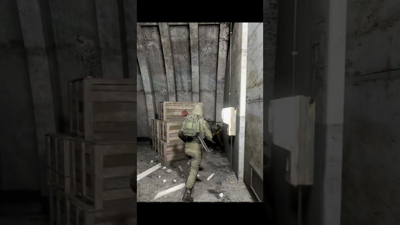 Stalker RP когда тебе не много за 30#stalker #shorts