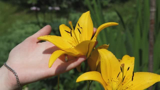 Я пришла за счастьем.