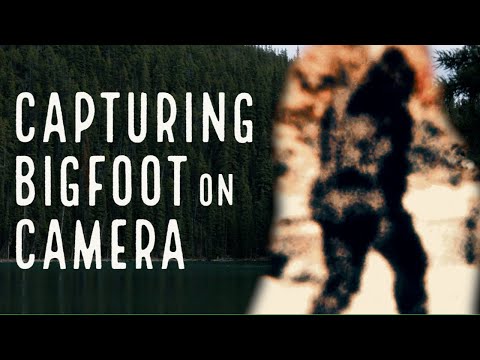 Capturing Bigfoot On Camera смотреть онлайн