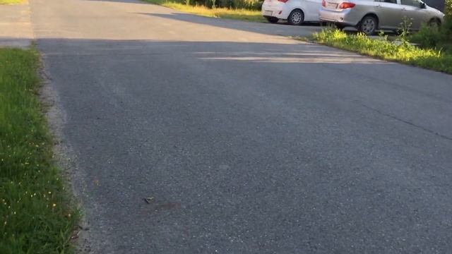 Обзор на электро-самокат смотреть онлайн