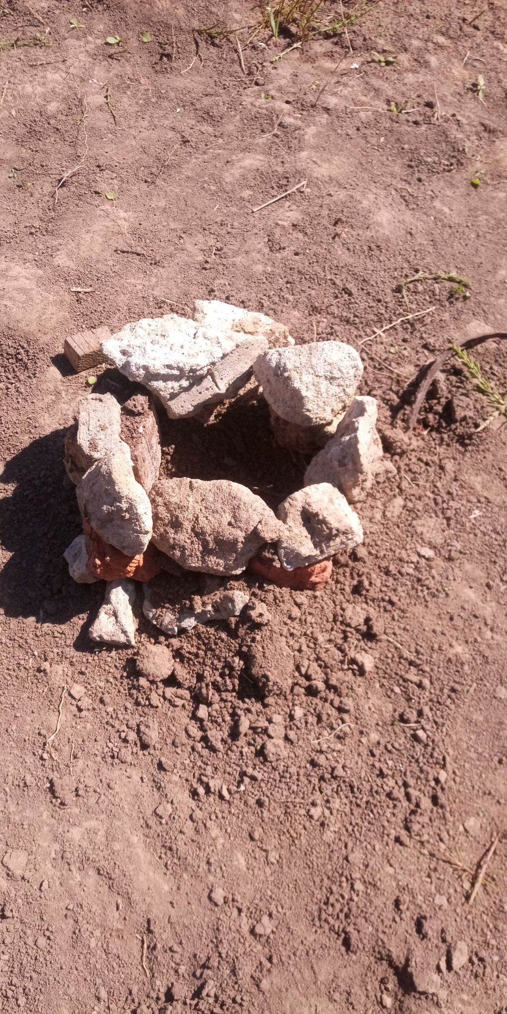 выживание в кругу