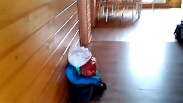 Ловись, рыбка!