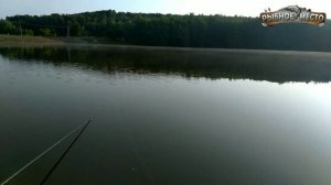 Как ловить толстолобика осенью? Хитрости и приемы для удачной рыбалки!