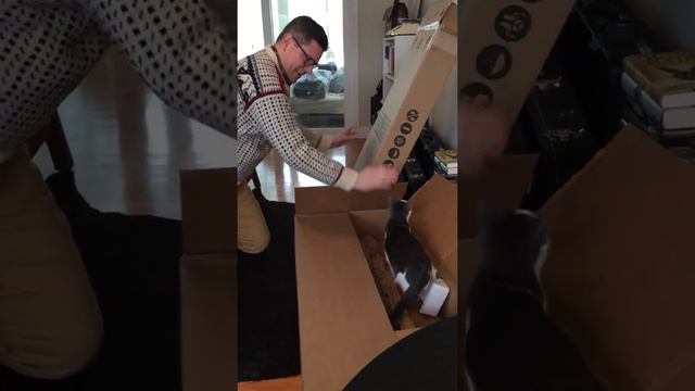 Fender American Professional Stratocaster Unboxing смотреть онлайн