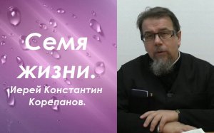 Для ищущих вечной жизни. Иерей Константин Корепанов.