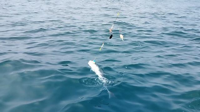 Рыбалка на Сахалине в районе маяка Анива. Полное видео. смотреть онлайн