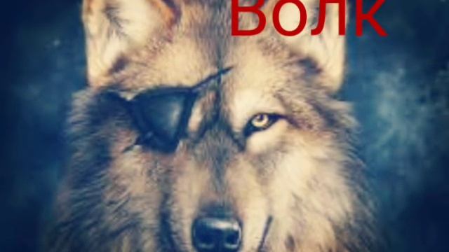 Гороскоп Животных!? смотреть онлайн