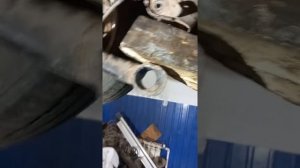 Тойота Приус 20 кузов. замена соленблоков балки.