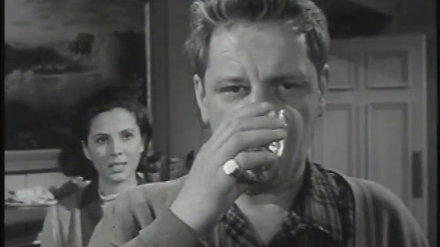PEYTON PLACE-S1-Barbara Parkins and Henry Beckman смотреть онлайн