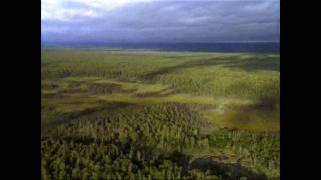 Невероятно сильная песня для души !!! О Его безграничной любви к нам !!!