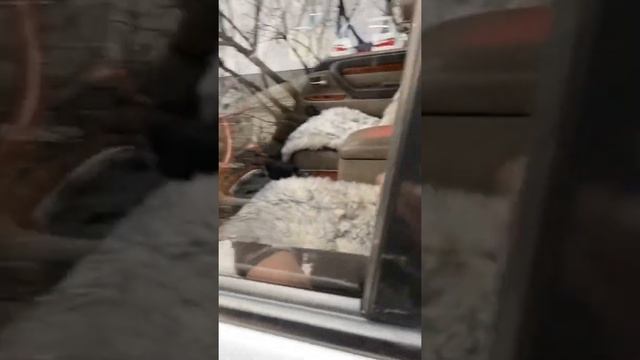 Solar-x LX 470 смотреть онлайн