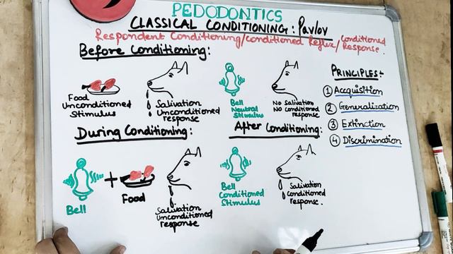 classical conditioning theory of ivan pavlov I pediatric dentistry смотреть онлайн