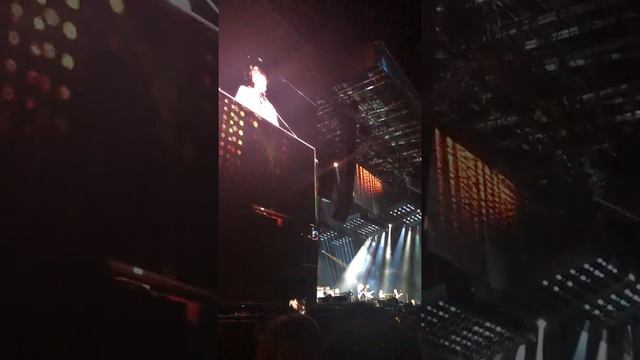 Lady Madonna - Paul McCartney смотреть онлайн
