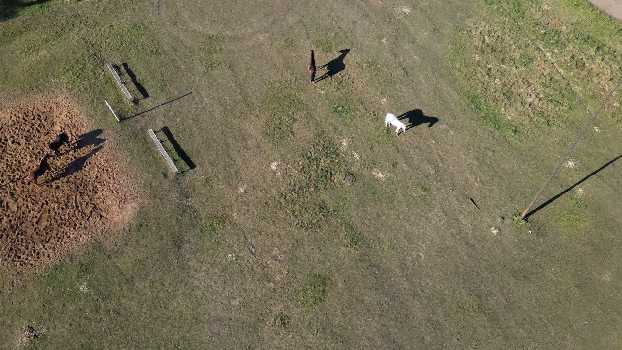 DJI 0285 смотреть онлайн