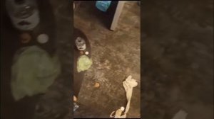 Уборка квартиры после смерти человека. До и после