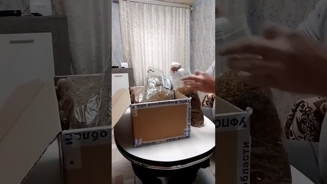 Посылка от Дом Табака смотреть онлайн