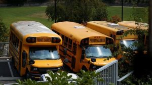 Американская школа - правда про среднее образование в США