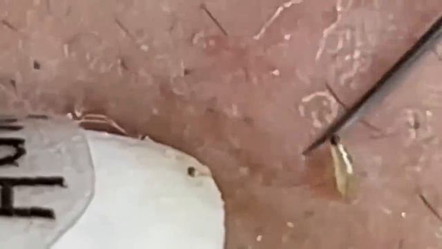 الوقت المناسب مع فيديوهات الغاز الطبيعي المسال #LNS 10333