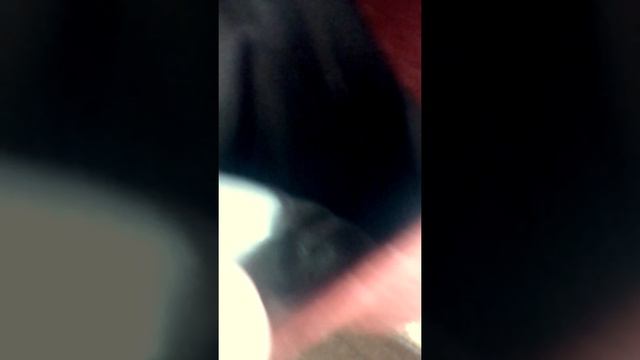 Проверка рюкзака от joom/ всё класс!!!!!!!!! смотреть онлайн