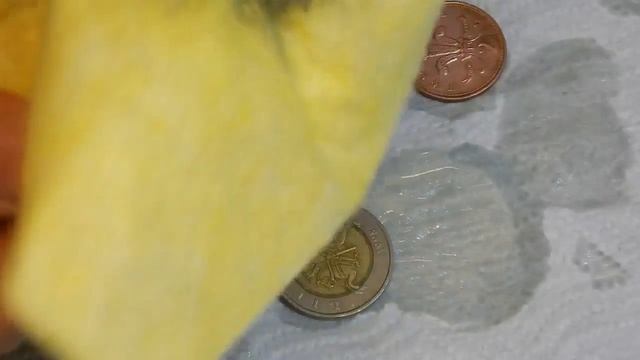 Чистка и полировка монет! Отличное средство для чистки и полировки метала от ZEPTER смотреть онлайн