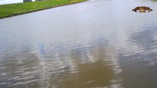 Поймать трофей за восемь часов смотреть онлайн