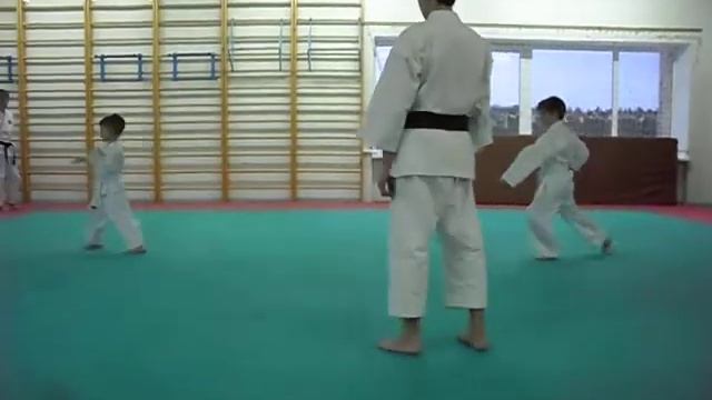 новички. тайкиоку шодан_ смотреть онлайн
