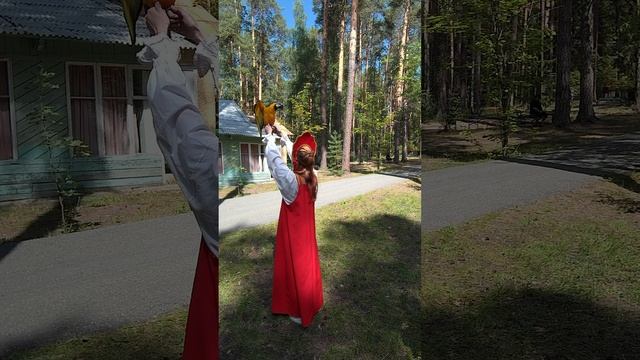 Попугай Гриша показывает трюки смотреть онлайн