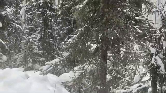 Обнимайте любимых людей... смотреть онлайн