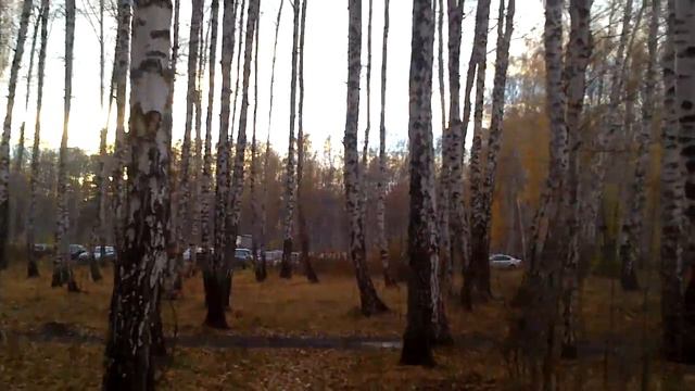 Зачем родителю осмысливать свои чувства и эмоции? смотреть онлайн